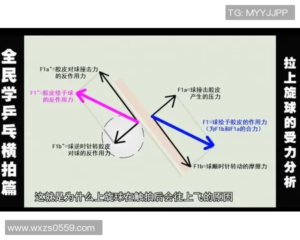 重庆乒乓球队的节奏揭秘与深度分析探索乒乓球的魅力与技术之美
