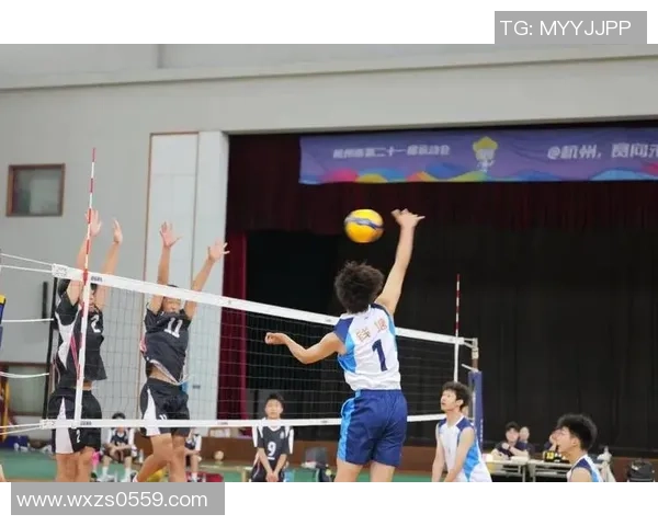 杭州排球队的精神风貌与团队意识探讨：排球运动中的团结与拼搏精神