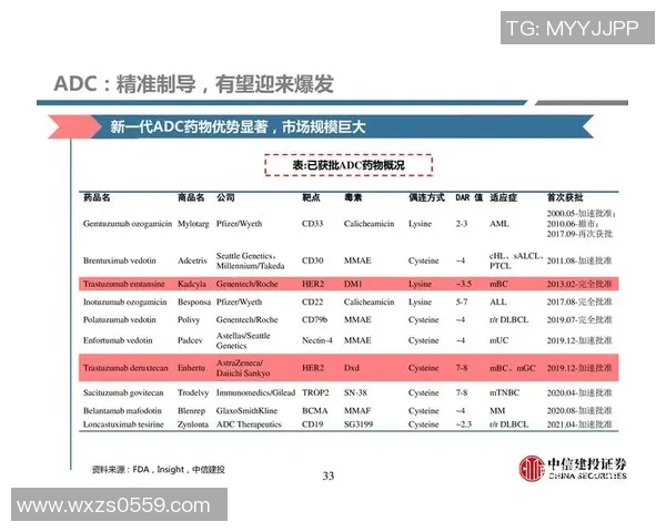 深圳羽毛球队耐力之争引发热议球员训练方式与比赛表现的深度探讨