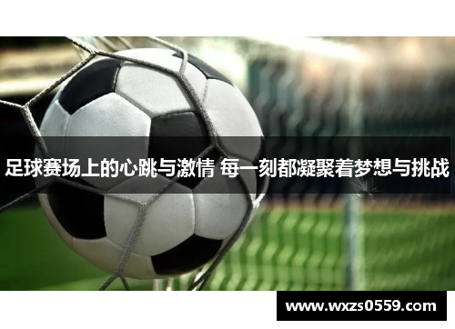 足球赛场上的心跳与激情 每一刻都凝聚着梦想与挑战